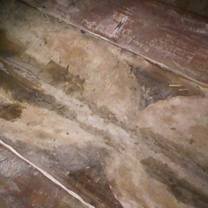 floor rot 9.jpg