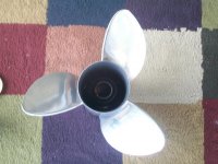 100_1204.jpg