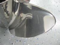 IMG_1286.jpg