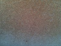 IMG_0784.jpg