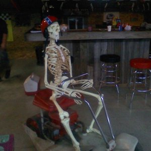 Mr BONES