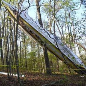 11074322_1638875106345945_6323658318331931122_n