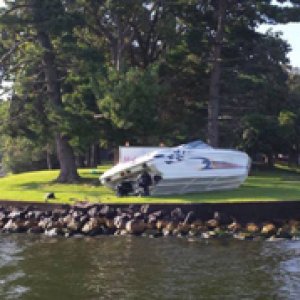 14100535_1244907662206163_6100710057511293192_n