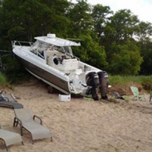 17554186_10155165385527248_6051303408112243824_n