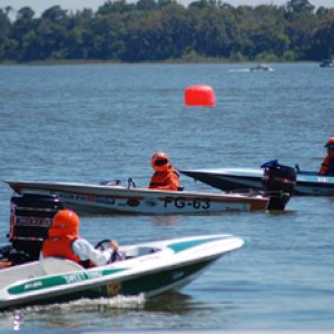 17457652_1241000859348556_407365152404152510_n