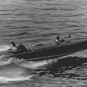 17634776_766986783463070_5299244602155482761_n