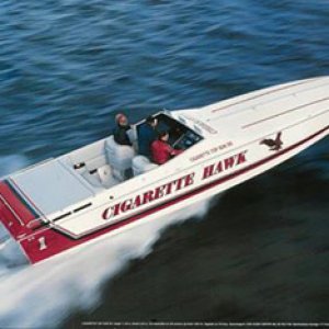 10882134_404048286421559_4614744169939356921_n