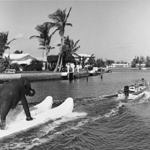 18199485_1670159653014021_4613133408282304095_n