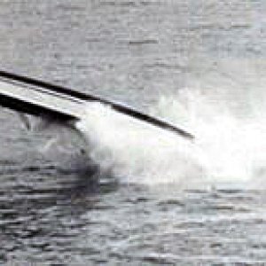 17156123_366299033769349_5500723028175202585_n