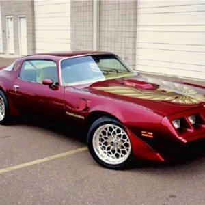 17200996_1420244774729000_7545161177957743661_n