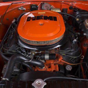 10917905_10152429563582134_7670227338799497332_n