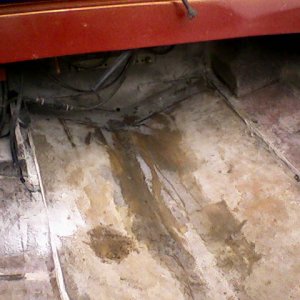 floor rot 8.jpg