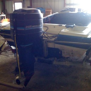 IMG_0229.jpg
