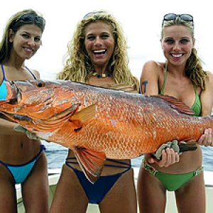 boat10330