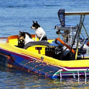 boat10394