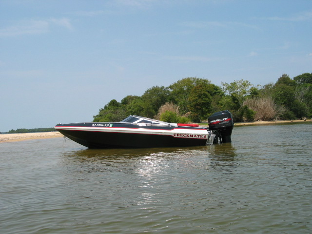 1996 Checkmate Pulse 170