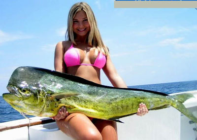 boat10164