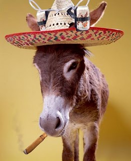 donkey