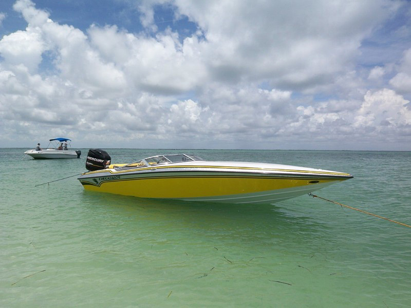 Wildman's Pulsare 2400